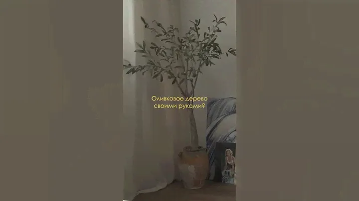 DIY Оливковое дерево